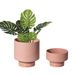 UBEE Keramische plantenpotten voor planten binnen bloembak 5,43 inch en 4,61 inch vetplanten mand met afvoergat schotel, set van 2, terracotta