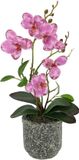 Kunstbloem Bol Kunstbloem, vlinder, orchidee met bladeren en luchtwortels in pot van keramiek, roze