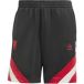 Manchester United Short Manchester United 2024/25