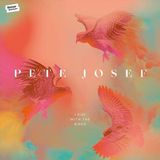 K7 Music Pete Josef I Rise With The Birds
