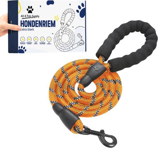 All 4 Pets Supply Hondenriem - 3 Meter - Reflecterend - Oranje