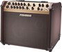 Fishman PRO-LBT-600 Loudbox Artist akoestische gitaarversterker combo