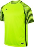 Nike Gardien GK Jersey Sportshirt Heren Maat M Geel/Zwart