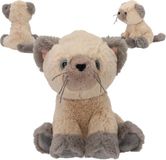 Depesche TOPModel Knuffel Kat Amber 16 cm