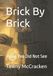 Brick By Brick: What You Did Not See