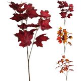 Home & Styling Esdoorn tak 60 cm 3 ass kleur