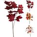 Home & Styling Esdoorn tak 60 cm 3 ass kleur