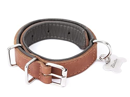 PillowPrim Hondenhalsband leer, halsband, leer, leren halsband hond, metalen gesp, 55 x 2,5 cm, lichtbruin