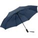 Parapluie de poche grande taille Skylight