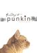 Selon Punkin