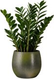Mica Decorations Plantenpot - keramiek - donkergroen glans / ribbels - D13 x H14 cm