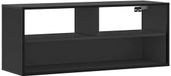 vidaXL Meuble TV 100x31x39,5 cm bois d'ingénierie et métal noir