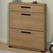 DEMEYERE Schoenenkast IZZY Eiken 12 paar 80.8 x 24.4 x 101.8 cm