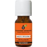 LCA Huile Essentielle de Gaulthérie Odorante BIO 10ml