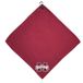 Team Golf NCAA Golfhanddoek van microvezel, uniseks, 15 x 15 cm