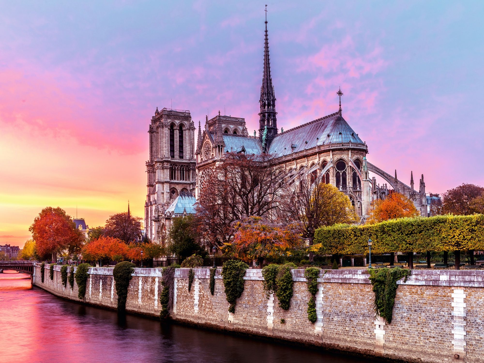 Ravensburger Schilderachtige Notre Dame Puzzel - 16345 - Multicolor