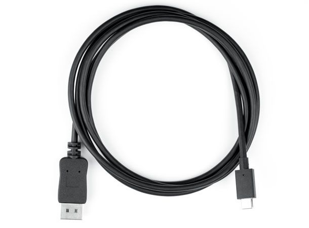 EIZO ST-USBC-DP-CABLE USB grafische adapter Zwart