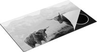 Chefcare Inductie Beschermer Twee Schotse Hooglanders in de Bergen - Zwart Wit - 95x55 cm