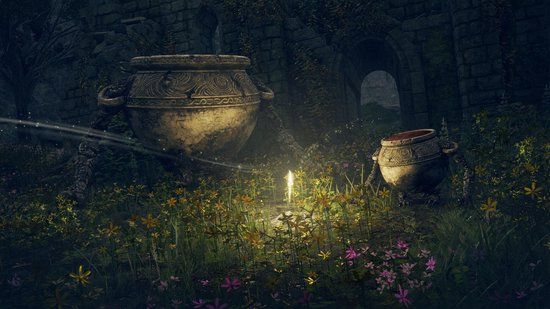 BANDAI NAMCO Entertainment Elden Ring PlayStation 5