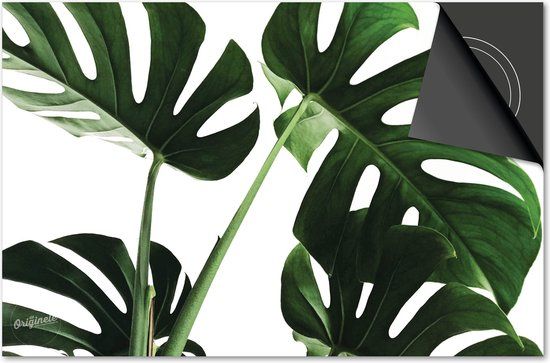 Dietrix Inductie Beschermer - 76x51.5cm - Bloemen en Planten - Monstera Licht