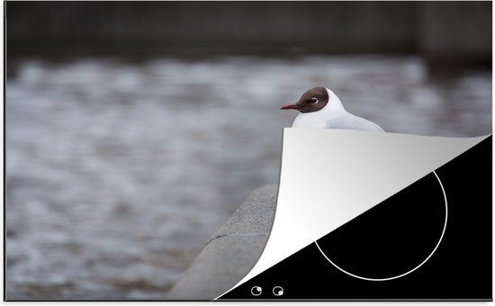 KitchenYeah® Inductie beschermer 77x51 cm - Meeuw - Water - Dieren - Inductie beschermer