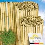 Sol Royal B99 – Premium Bamboe Tuinscherm 90x250 cm Helder Glanzend