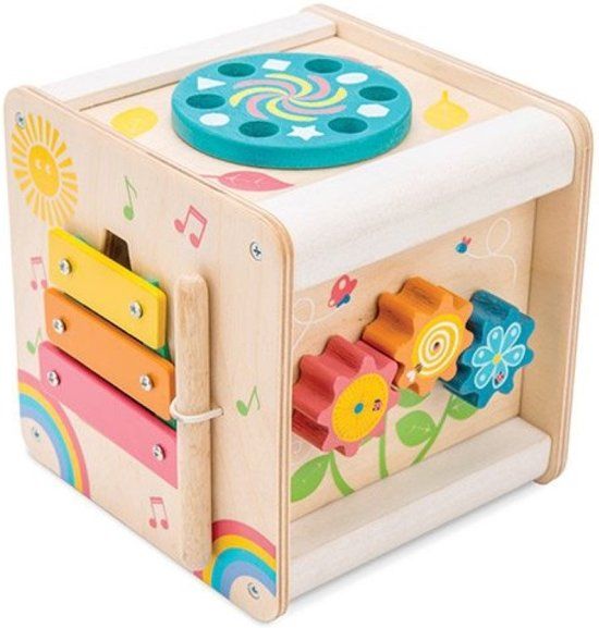 Le Toy Van Petilou Motorische Kostka Hout Multicolour