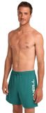 O'Neill Logo 16'' Short de bain Botanical Heat 2XL Homme