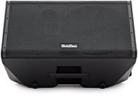 SubZero Praxis12 DSP Monitor voor Muzikanten