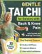 Gentle Silverbloom Wellness Gentle Tai Chi for Seniors with Back & Knee Pain