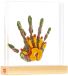Tiny Love Tiny Creations Gezinsafdrukken Herinneringen Baby Geschenken Set