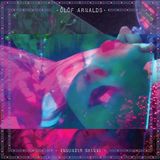 Konkurrent Ólöf Arnalds - Innundir Skinni (CD)