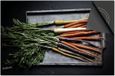 Dietrix Induction Protector 78x52 - Vegetables and Fruit - Carrots