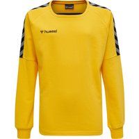 Junior Sweatshirt Hummel hmlAUTHENTIC Training