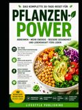 DER PFLANZENBASIERTE NEUSTART Eine 30-Tage-Transformation: Disses Programm zum Abnehmen, Steigern der Energie, Aufbau gesunder Gewohnheiten