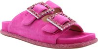 Alma en Pena Slipper Roze 40