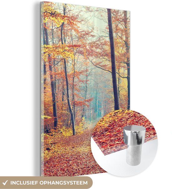 MuchoWow® Glass Painting 20x30 cm - Acrylic Glass Painting - Forest - Autumn - Leaves - Photo on Glass - Paintings