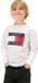 Tommy Hilfiger Heritage Printed Flag T-shirt Korte Mouwen Grijs 14 Years Jongens