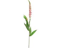 Easyplants Kunstbloem Buddleja 76 cm Roze