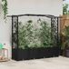 vidaXL Verhoogd bed met trellis en dak Zwart 204 x 40 x 138 cm PP