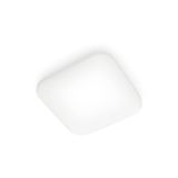 Philips Hue Philips Functionele Plafondlamp Mauve, 12 W, vierkant, LED, 4000 K, 1300 lm, IP20, Wit