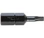 Festool Bit Torx TX 10-25 /10 - 4014549124659