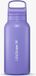 LifeStraw waterfilterfles Go 2.0 RVS Thistle Purple geïsoleerd 1 liter - Paars