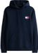 Tommy Jeans Tjm Reg Essential Flag Hood Ext Blauw XXL