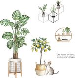 Merkloos Muursticker - kat fruitboom planten - kinderkamer inspiratie - wanddecoratie - Boho