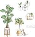 Merkloos Muursticker - kat fruitboom planten - kinderkamer inspiratie - wanddecoratie - Boho