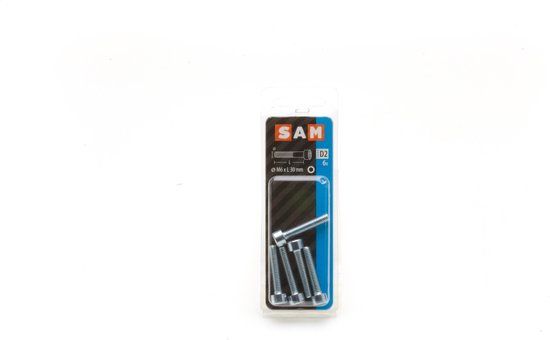 Sam BINNENZESKANT BOUT CYL.KOPVERZ. 6 ST M6 X 30 MM 6 stuks M6 x 30mm