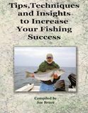 Tips, Fishing Success: Tips, Techniques and Insights