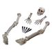 Bristol Novelty HI289 Skeleton grondbreker, grijs, One Size