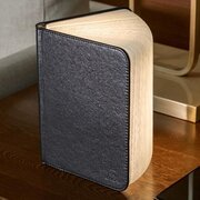 Gingko Mini Smart Book Light Black Leather